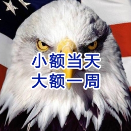 蓝山要账公司